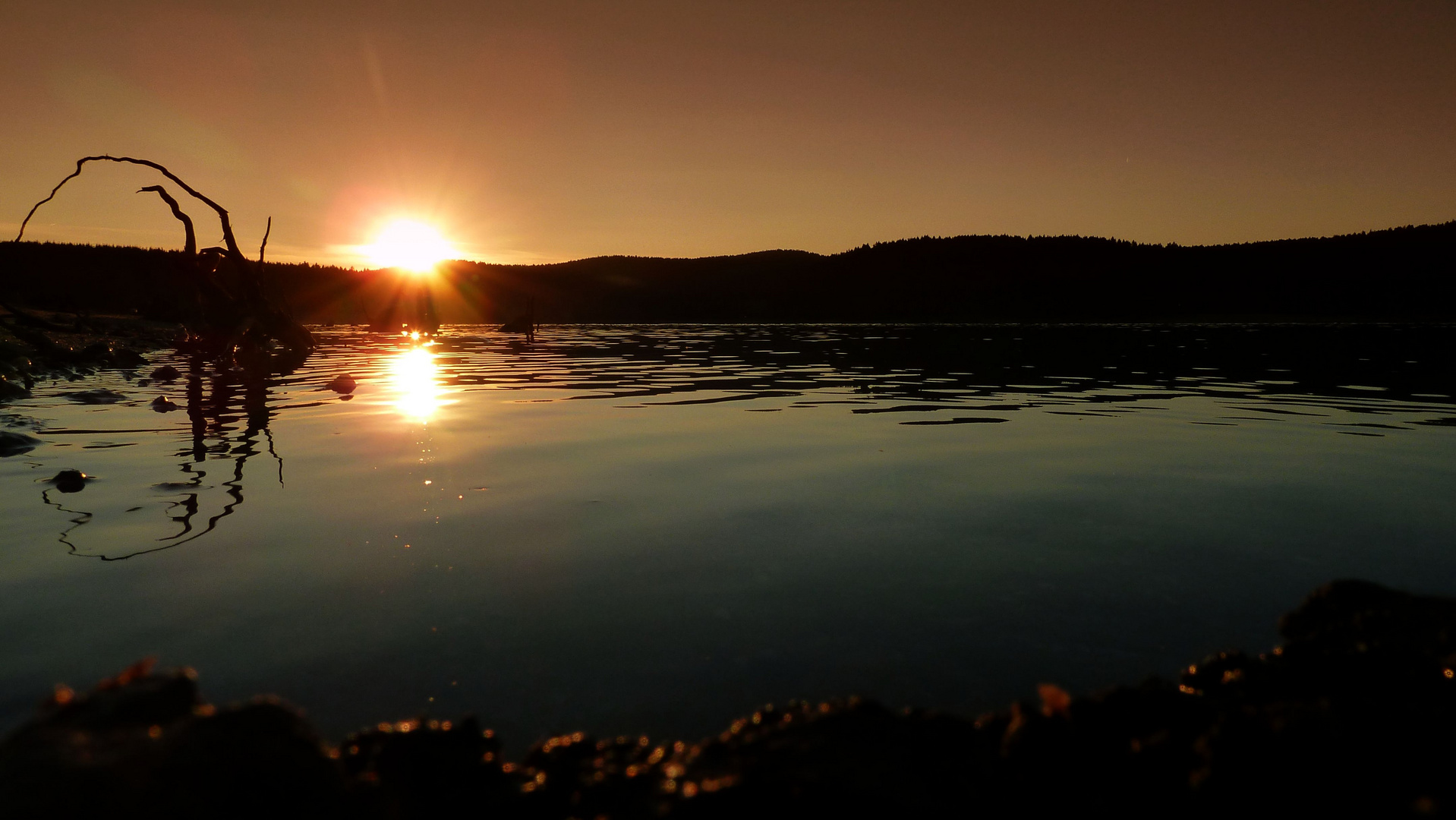 Talsperre Eibenstock Sonnenuntergang