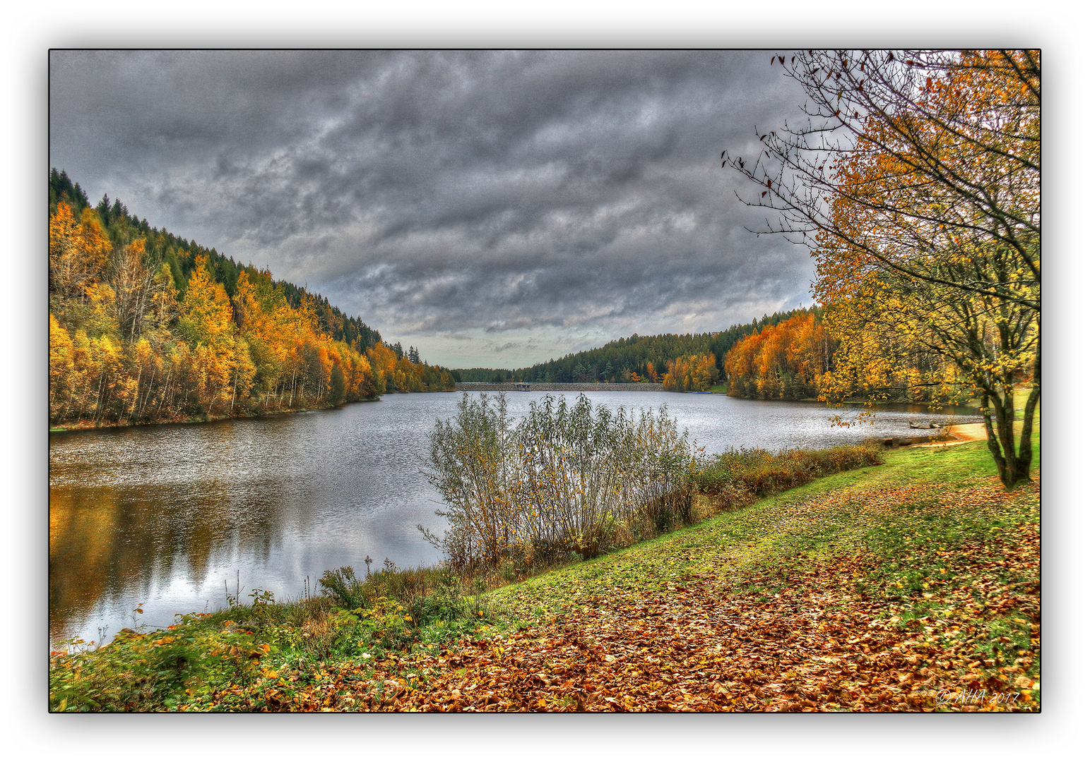 Talsperre Falkenstein