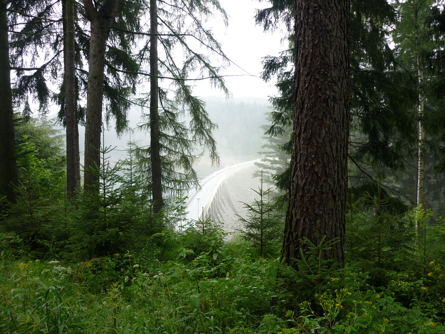 Talsperre im Erzgebirge