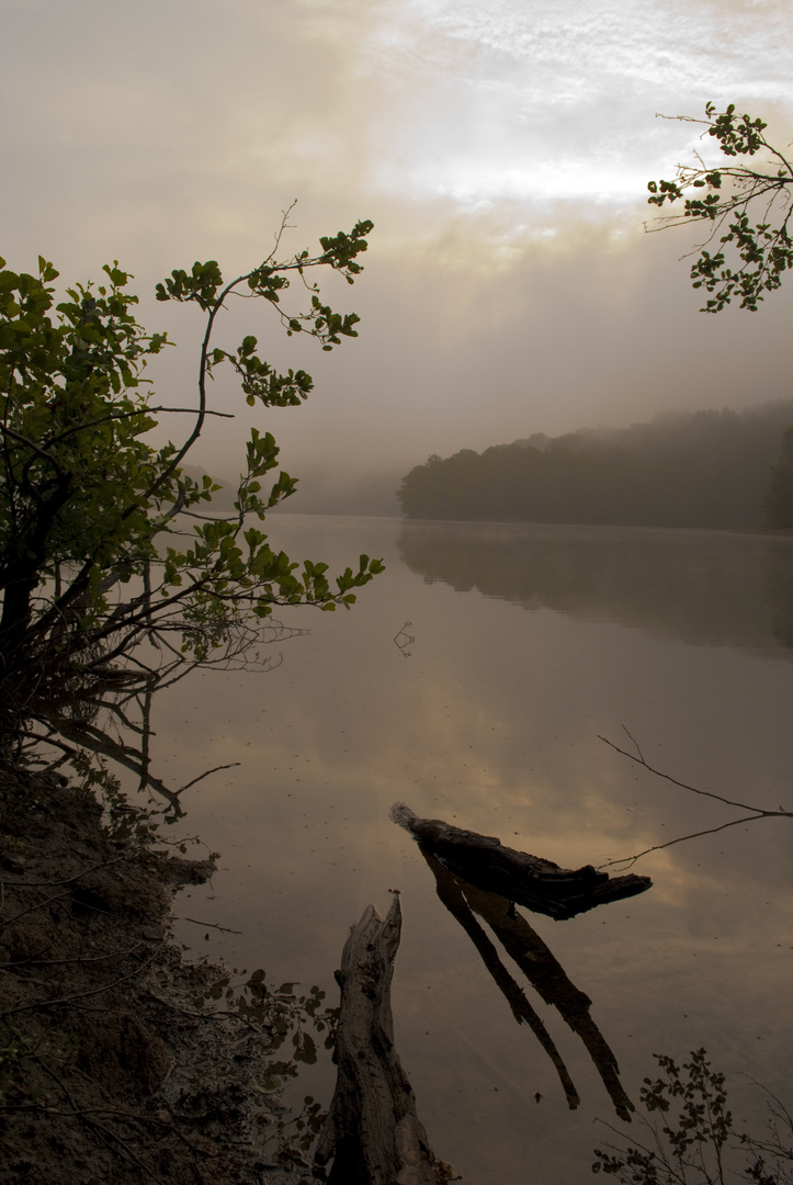 Talsperre im Nebel