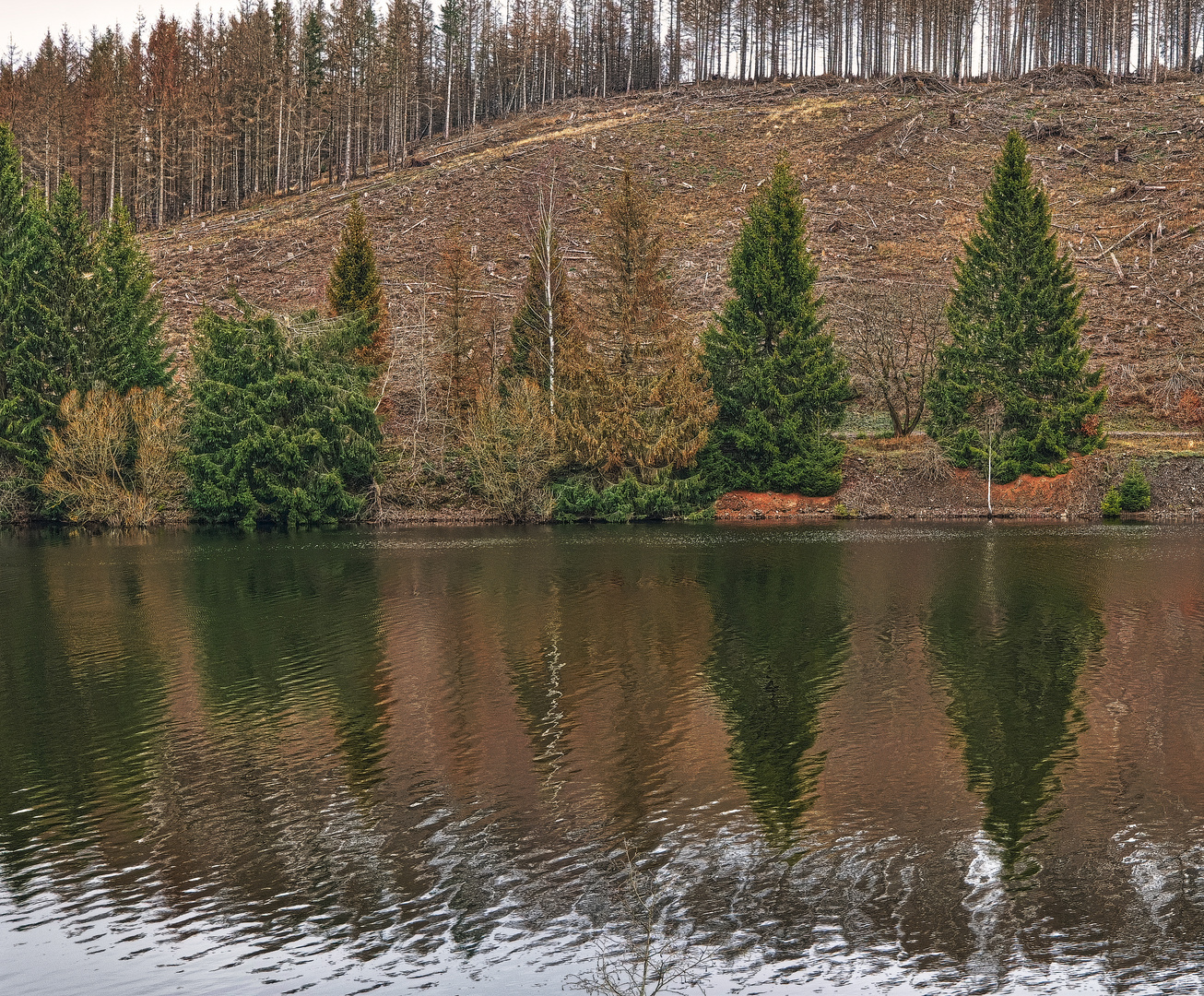 Talsperre Königshütte Foto & Bild world, natur, landschaft Bilder auf