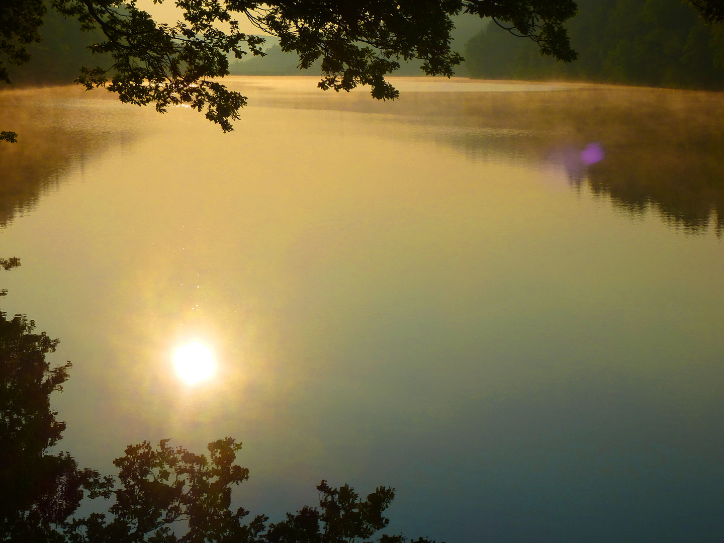 Talsperre mit Nebelschwaden bei Sonnenaufgang