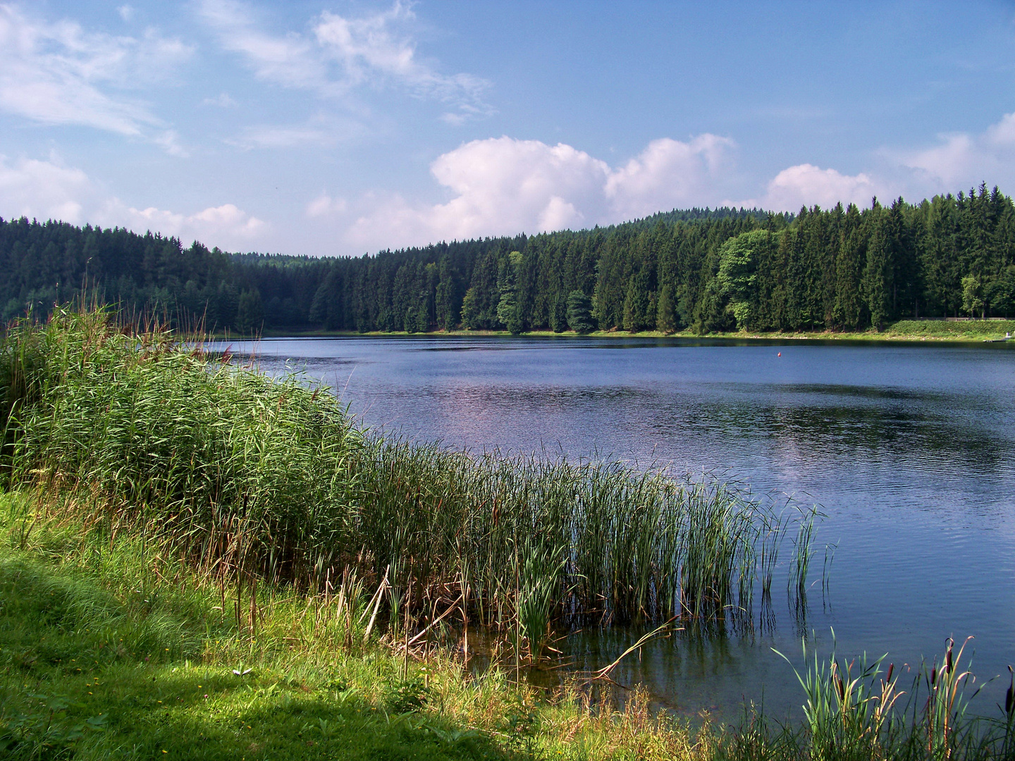 Talsperre Neunzehnhain