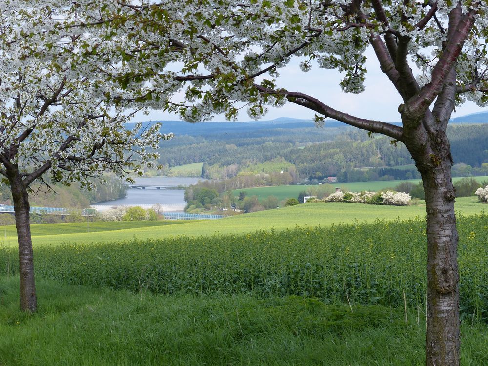 Talsperre Pöhl, Vorsperre Thoßfell