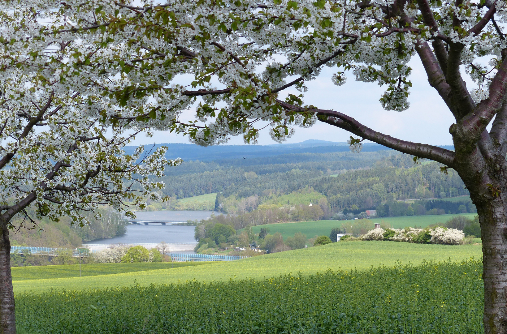 Talsperre Pöhl, Vorsperre Thosßfell (2)