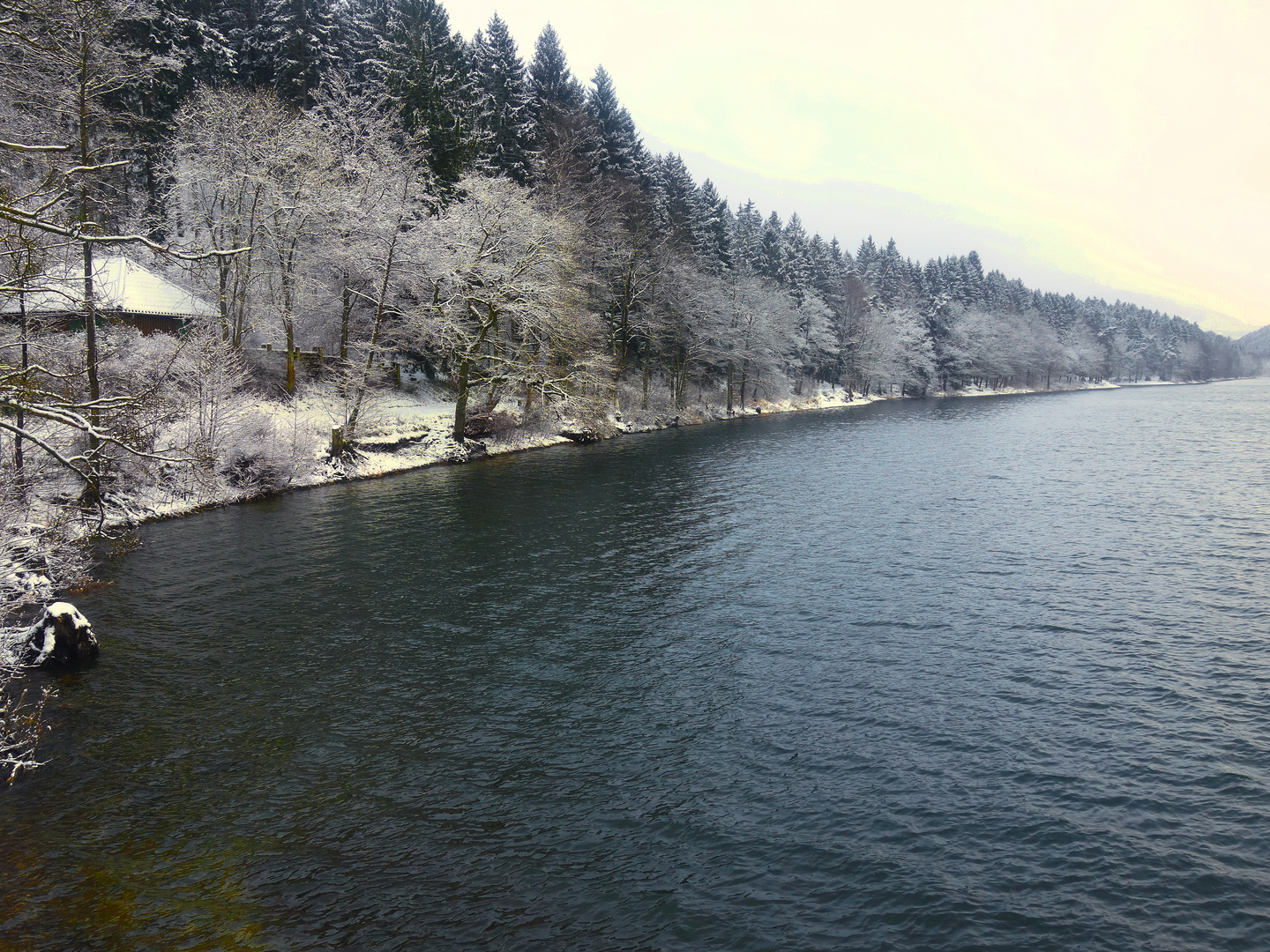 Talsperrenufer im Winter