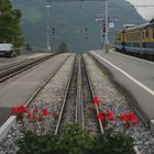 Talstation der Bahn zur Kleinen Scheidegg in Grindelwald