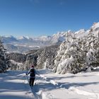 talwärts im tiefen Schnee