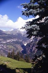 talwärts von mürren mit der zahnradbahn 1998