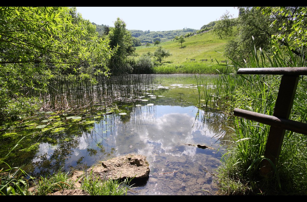 Talweiher2