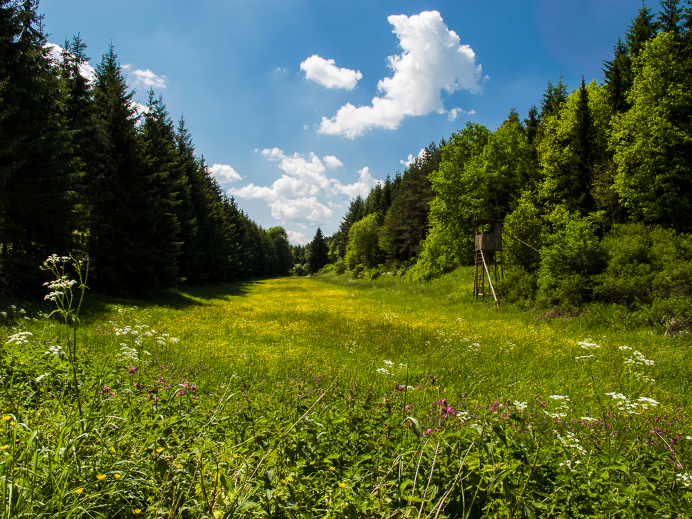 Talwiese auf der Schwäbischen Alb Foto & Bild | landschaft, Äcker