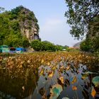 Tam Coc #4