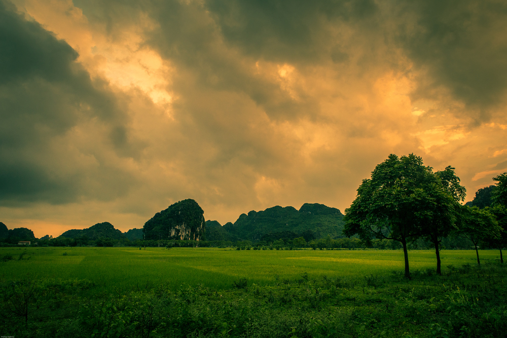 Tam Coc