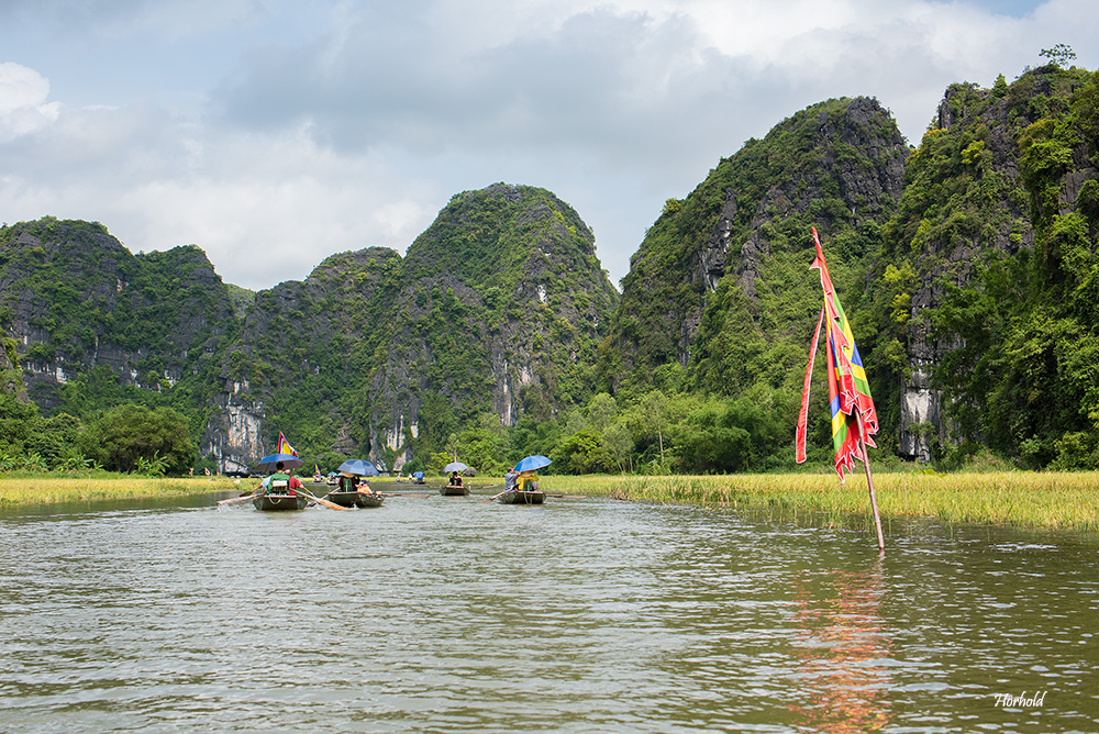 Tam Coc II