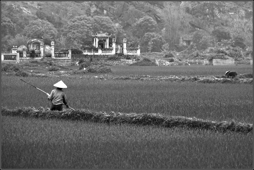 Tam Coc, Nord Vietnam