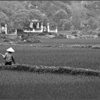 Tam Coc, Nord Vietnam