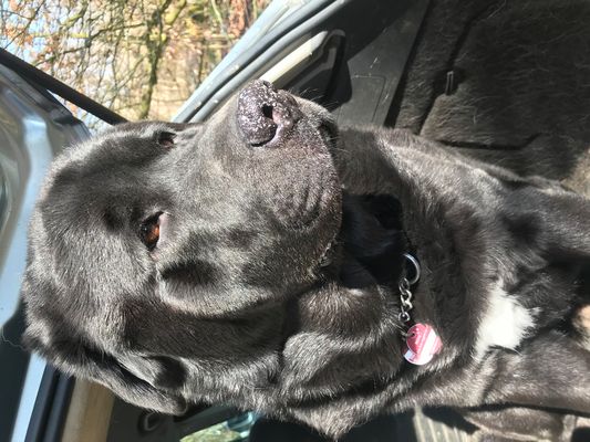 Tama unser Wirbelwind