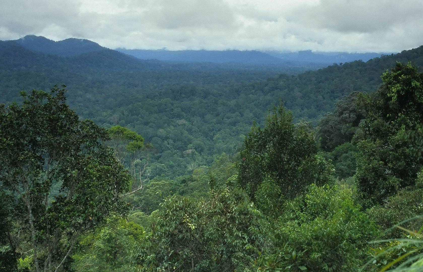 Taman Negara Nationalpark 2007