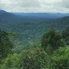 Taman Negara Nationalpark 2007