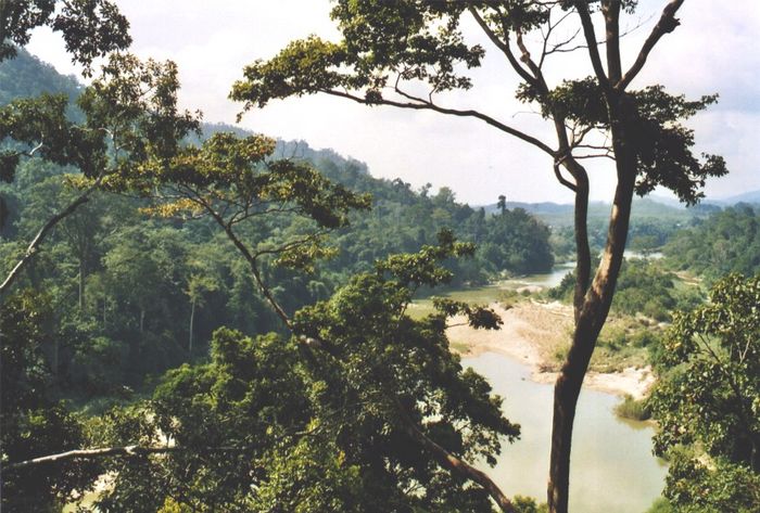 Taman Negara Nationalpark