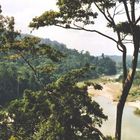 Taman Negara Nationalpark