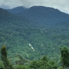 Taman Negara Nationalpark Malaysia