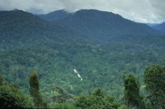 Taman Negara Nationalpark Malaysia