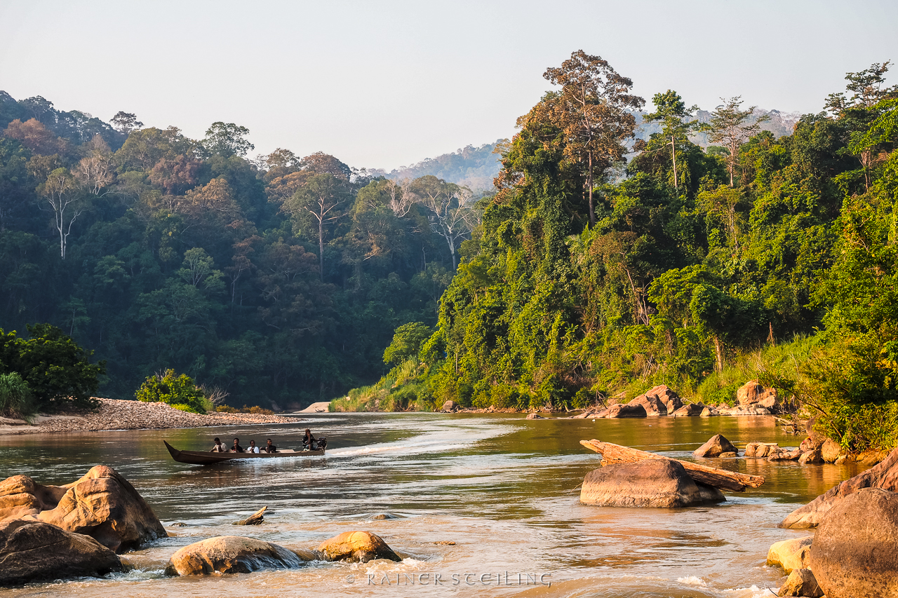 Taman Negara NP (Malaysia)