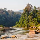 Taman Negara NP (Malaysia)