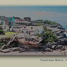 Tamarama Beach