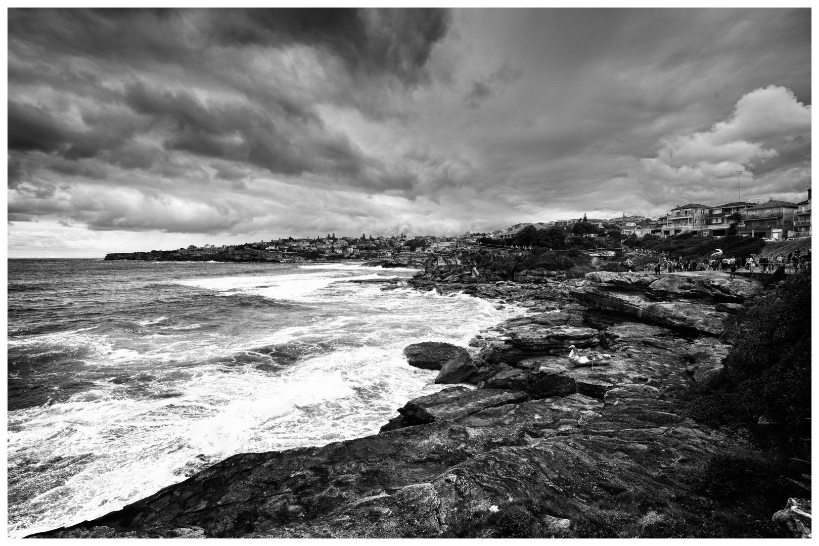 Tamarama Beach - Sydney