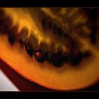 Tamarillo