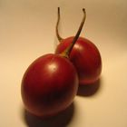 tamarillo