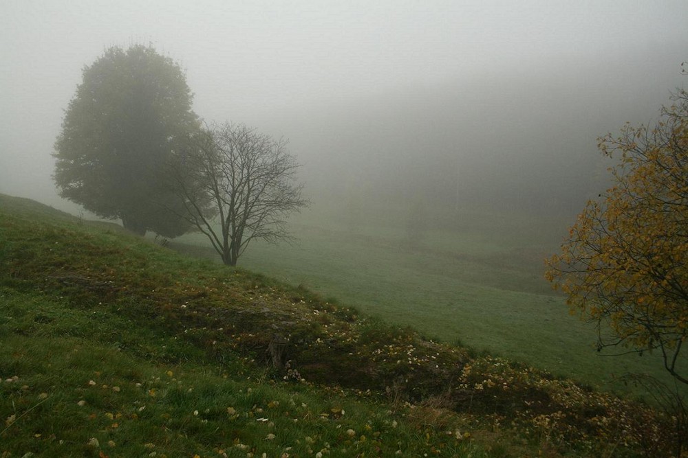 Tambacher Herbstnebel