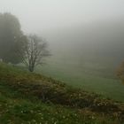 Tambacher Herbstnebel