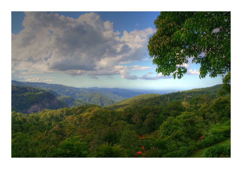 Tamborine Mountain