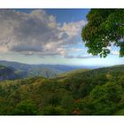 Tamborine Mountain