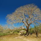 Tamburil - Piauí - Brasil