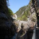 Tamilaschlucht bei Bad Ragaz 38/ 01.05.09