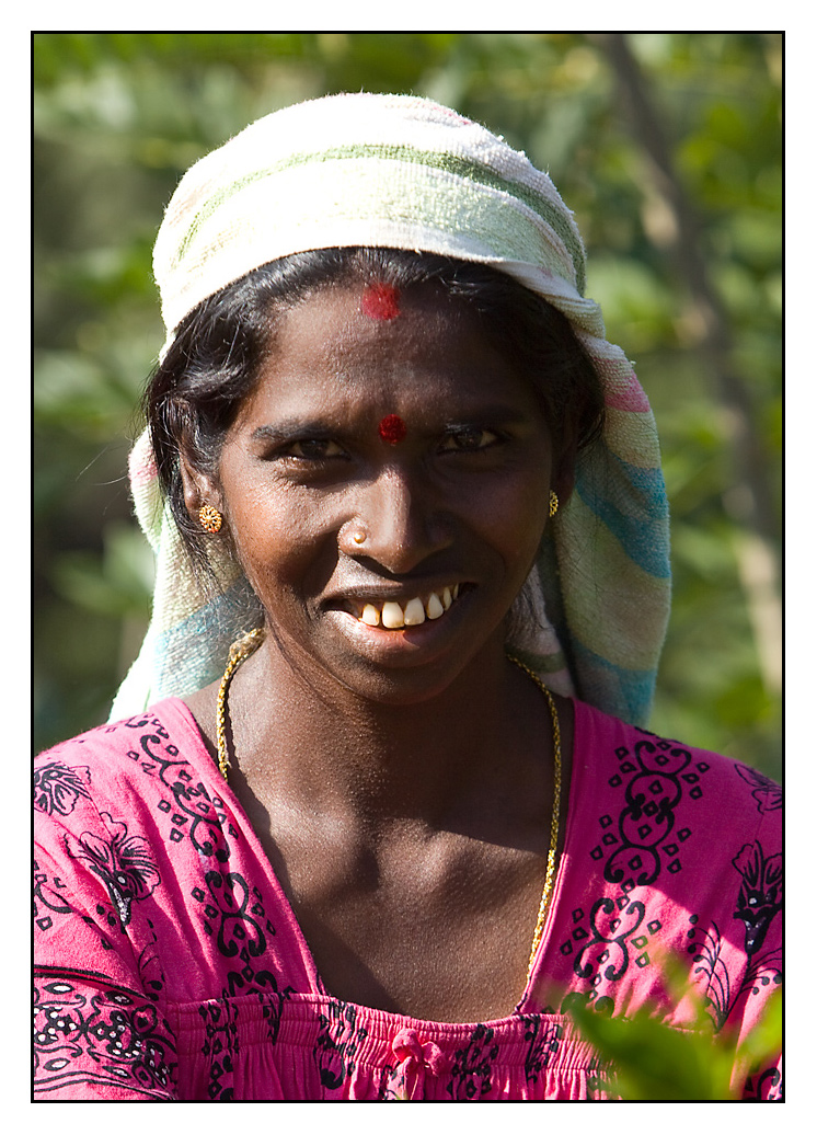 tamilische Teepflückerin auf Sri Lanka Foto & Bild portrait, portrait frauen, outdoor Bilder