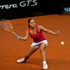 Tamira Paszek, Porsche Tennis Grand Prix 2011