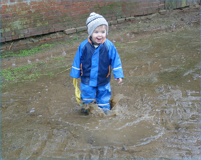 Tamme im Regen 1