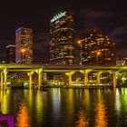 Tampa Sky Line