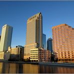 Tampa skyline