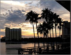 Tampa sundown II