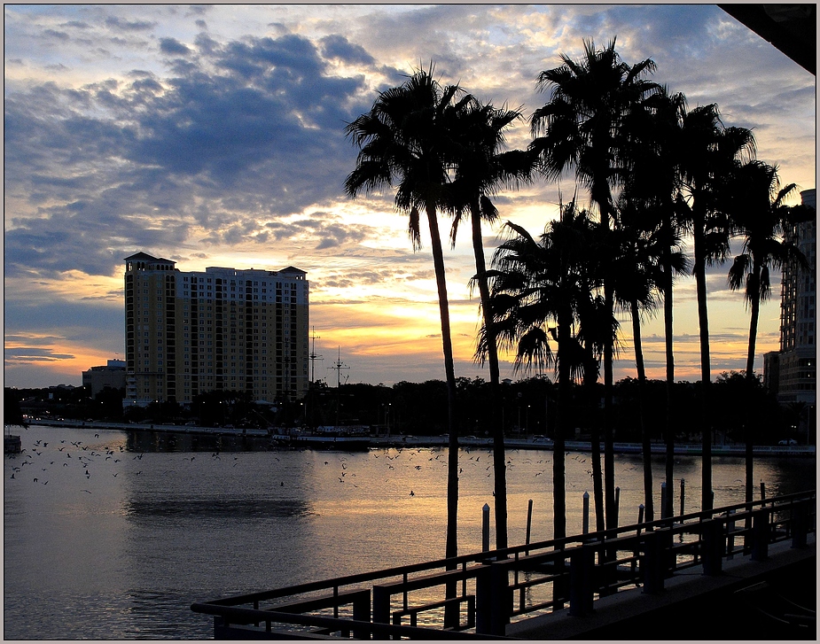 Tampa sundown III