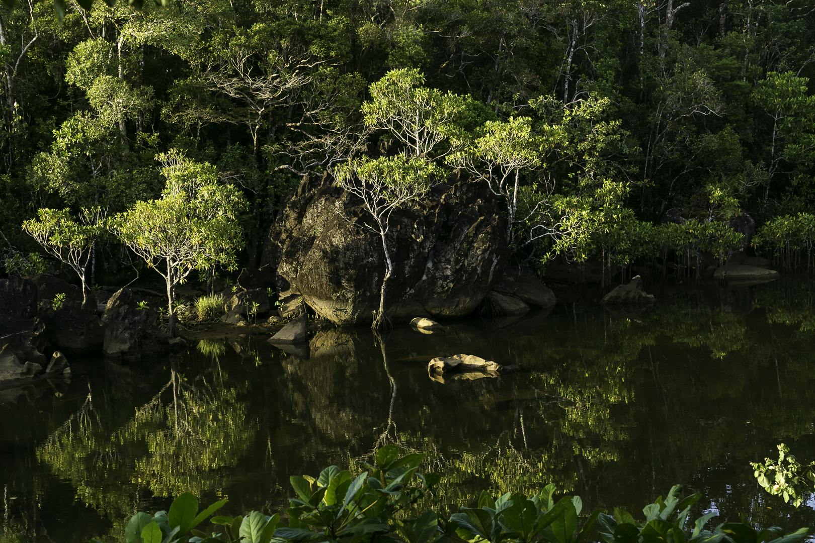 Tampolo river