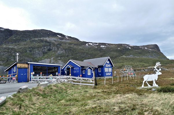 Tana sølv (Silber aus Tana)