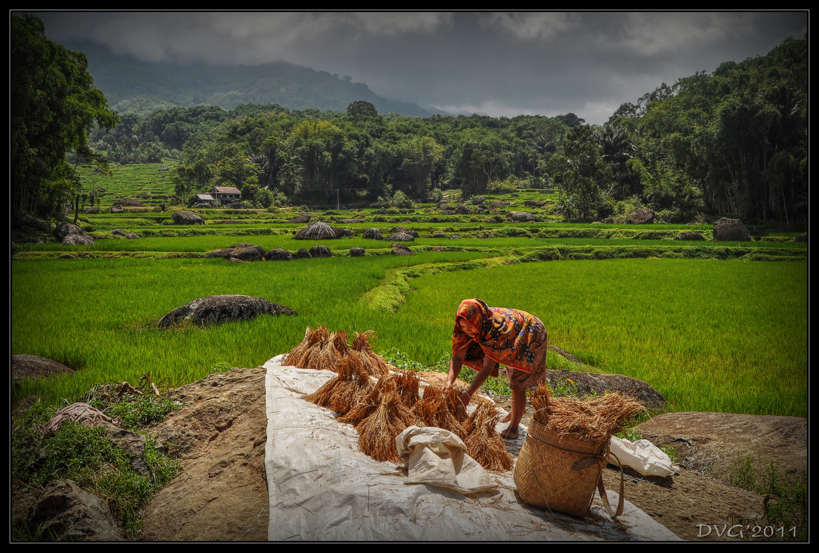 Tana Toraja in Sulawesi, Indonesia