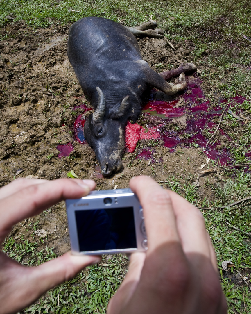 Tana Toraja, Indonesia